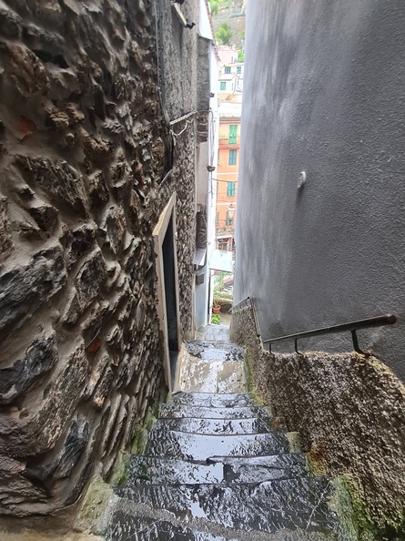 20231024_114550.jpg