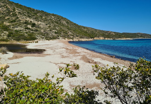 Corse