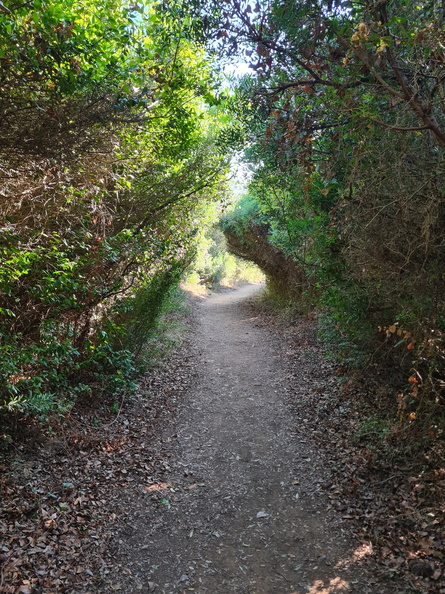 20231001_154653.jpg